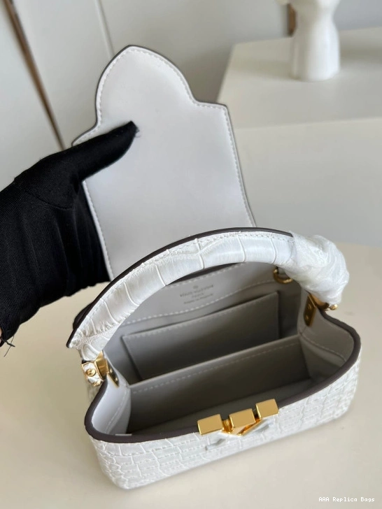 Aaa replica bags VUITTON MINI CAPUCINES LOUIS 0816